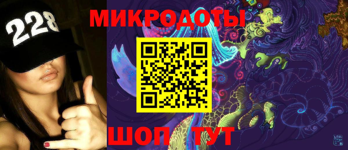 Галлюциногенные грибы Psilocybe Ивантеевка
