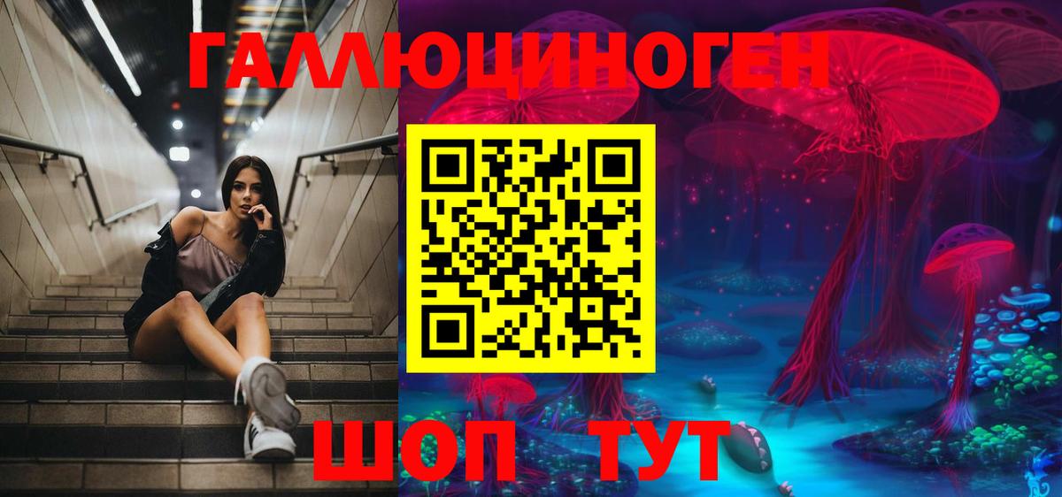 Ивантеевка  Галлюциногенные грибы GOLDEN TEACHER  Вход с VPN 